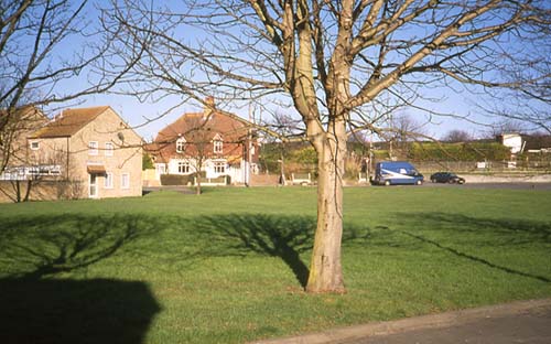 The Village Green 2002